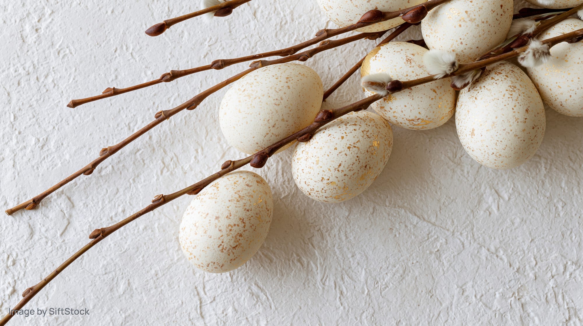 White speckled easter eggs with gold foil accents arranged on willow branches against a textured white wall