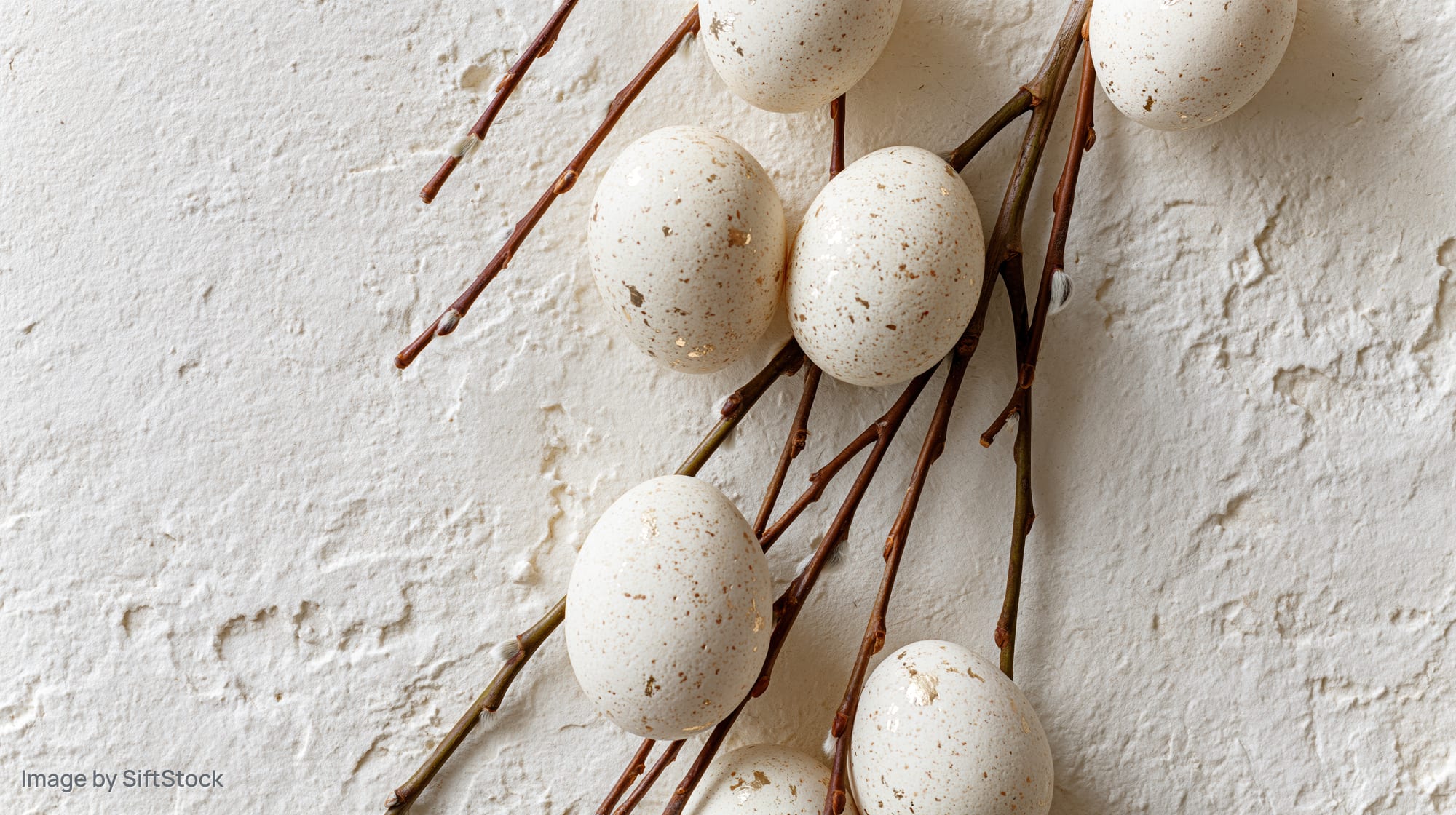 White speckled easter eggs with gold foil accents arranged on willow branches against a textured white wall