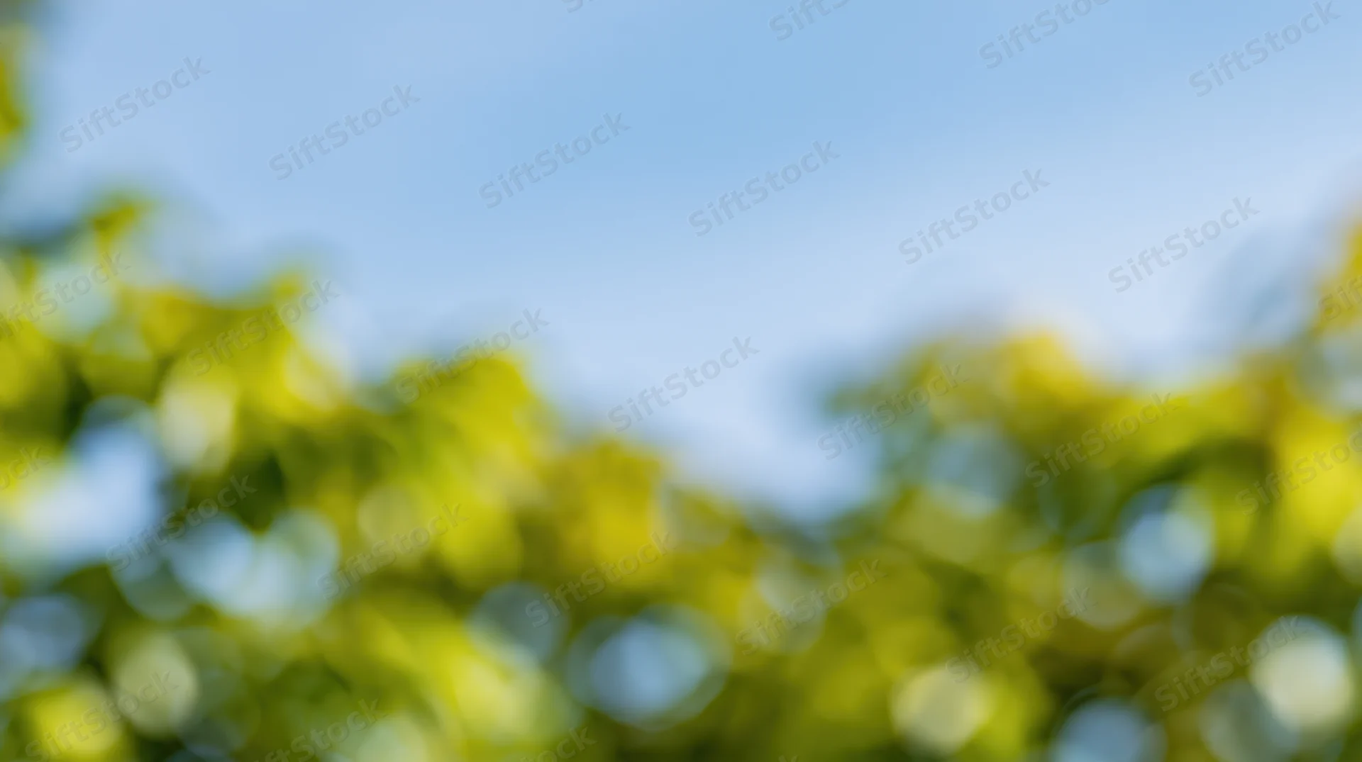 Blurred green foliage against blue sky with bokeh effect