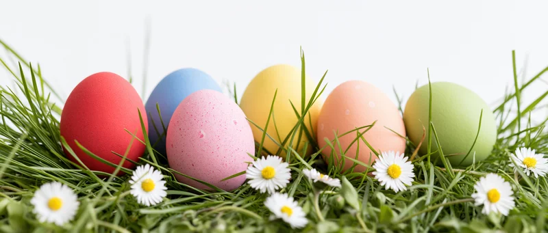 Six painted easter eggs in grass with daisies