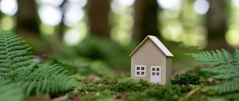 Small wooden house figurine placed among ferns and moss in a forest setting