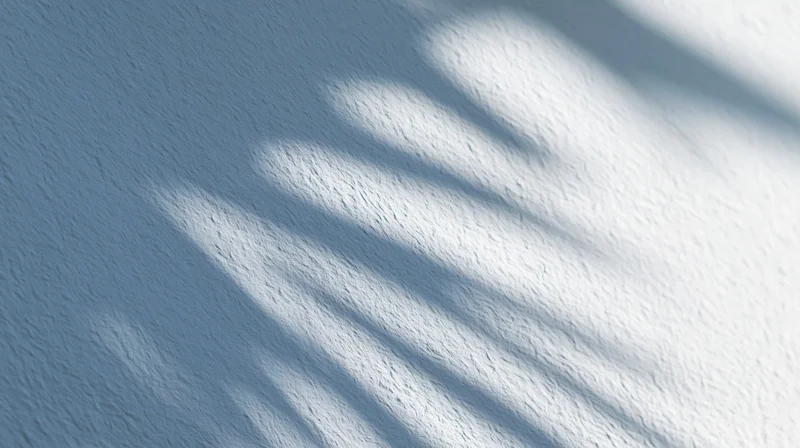 Soft dappled leaf shadows cast diagonally across a plain white textured wall