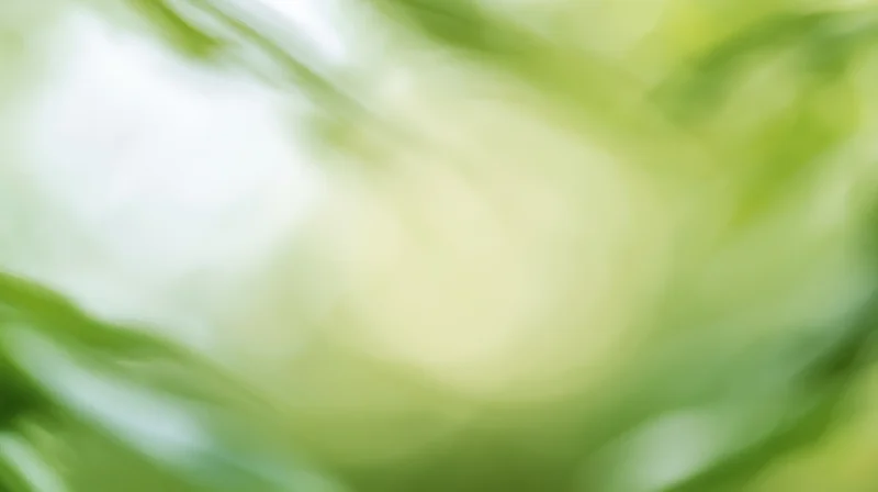 Soft green bokeh background with blurred foliage and natural light