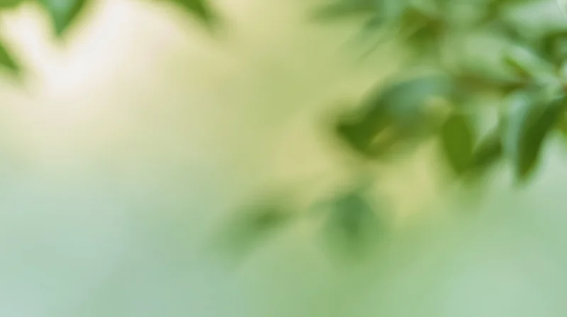 Blurred green foliage with soft light creating a natural abstract background