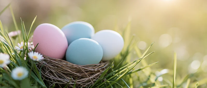 Pastel painted easter eggs in a woven nest among green grass and daisies in a sunlit field