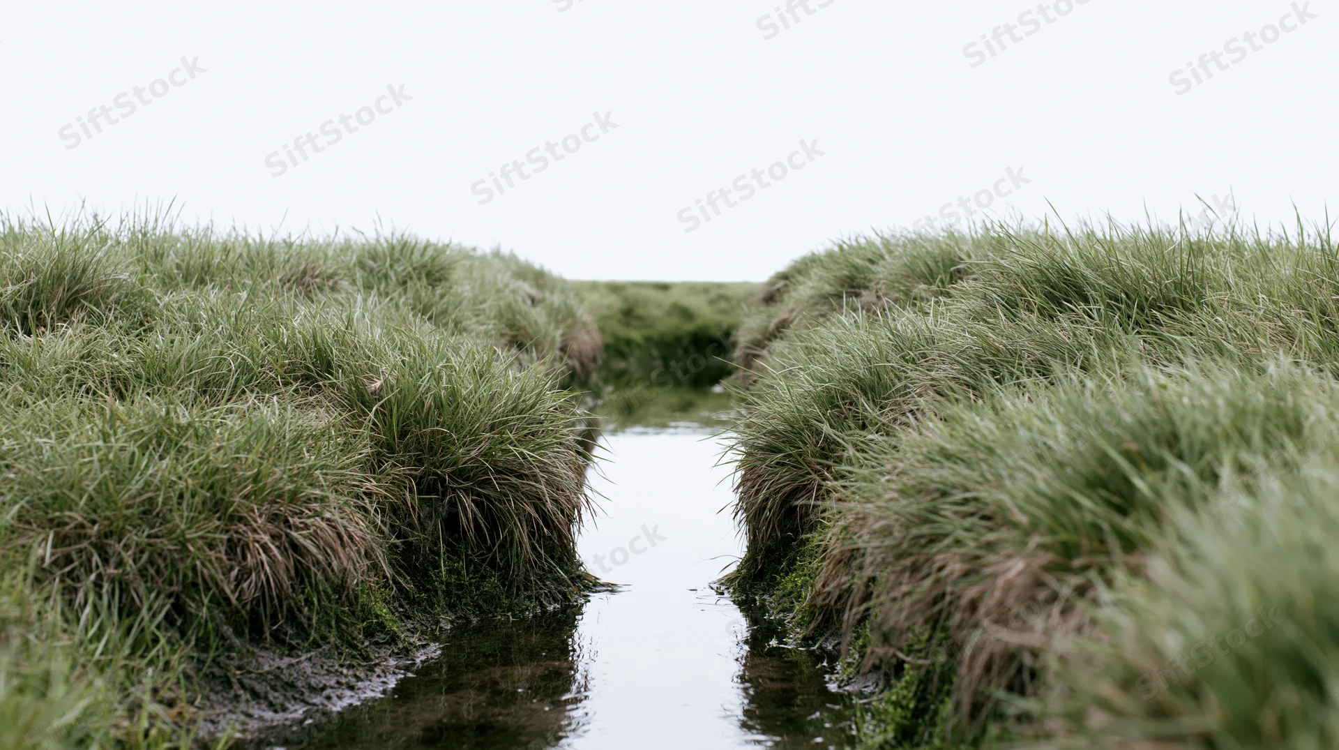 Narrow water channel flanked by grassy marsh banks in a wetland landscape