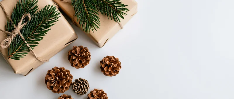 Two kraft paper gift boxes decorated with pine branches and pinecones on a white surface