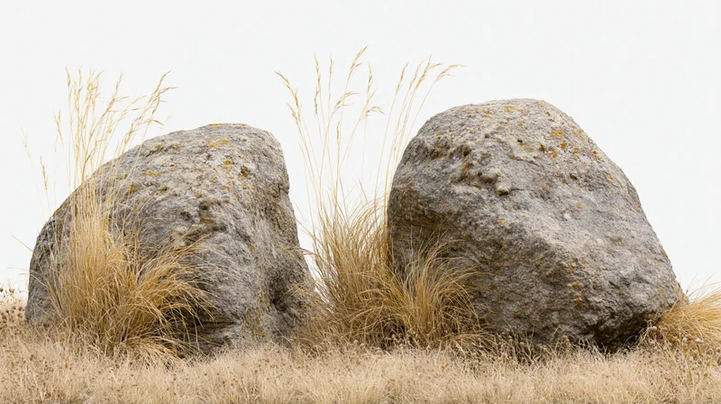 Two weathered granite boulders resting in dry golden grass under an overcast sky