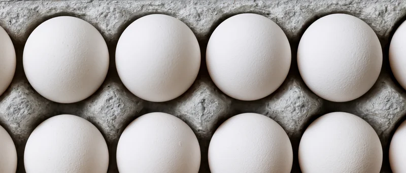White chicken eggs arranged in a grey cardboard carton