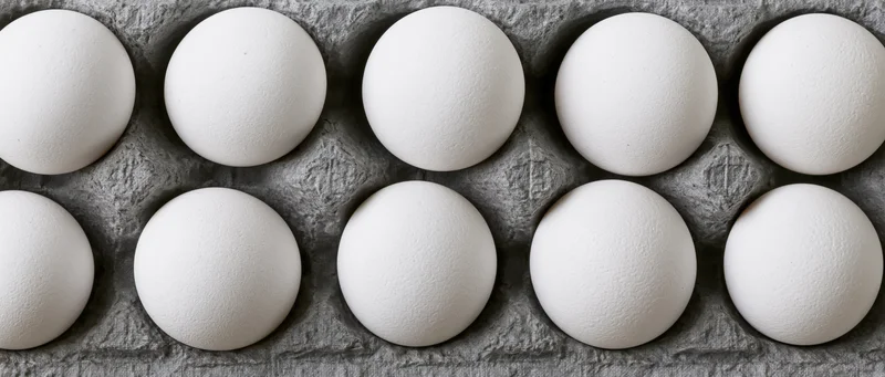 White chicken eggs arranged in a grey cardboard carton