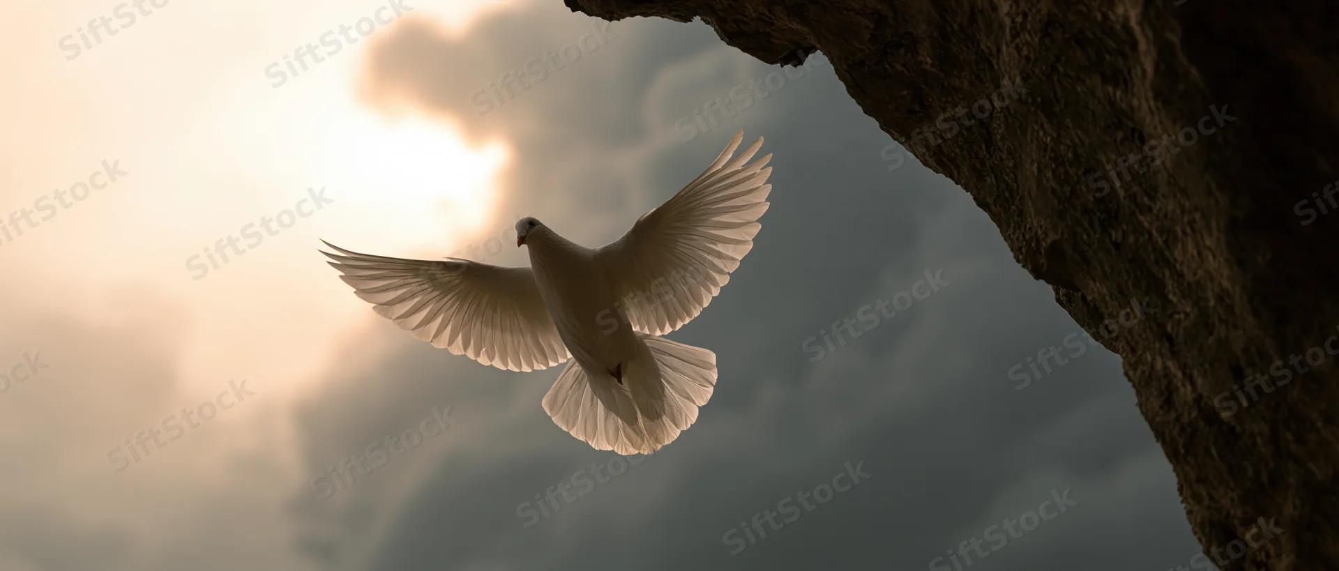 White dove in mid-flight with wings spread emerging from a rocky cave opening into sunlight
