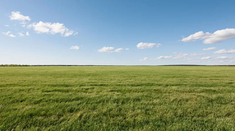 Wide open grass field stretching to the horizon under a clear blue sky with scattered clouds