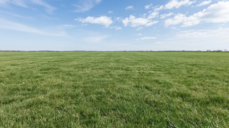Wide open grass field stretching to the horizon under a blue sky with scattered clouds