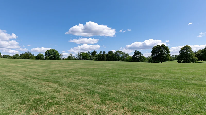Wide open grassy park field under blue sky with scattered clouds and distant trees