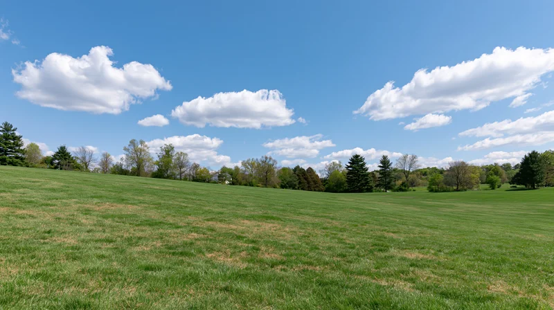 Wide open park landscape with gently sloping manicured green lawn under blue sky with scattered white clouds