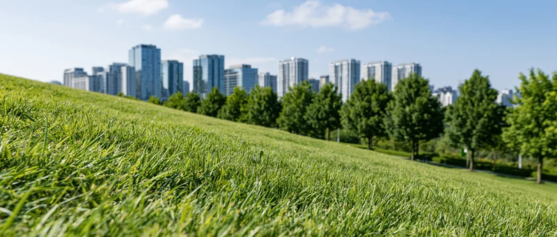 Green grass hill in a park with city skyline in the background