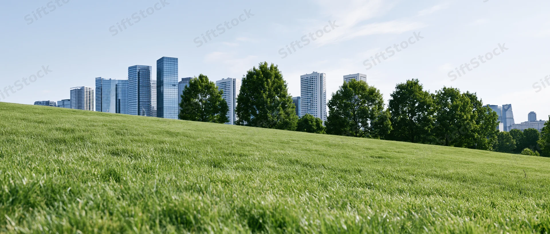 Green grass hill with city skyline in background