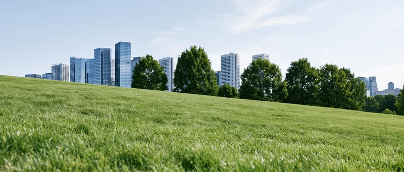 Green grass hill with city skyline in background