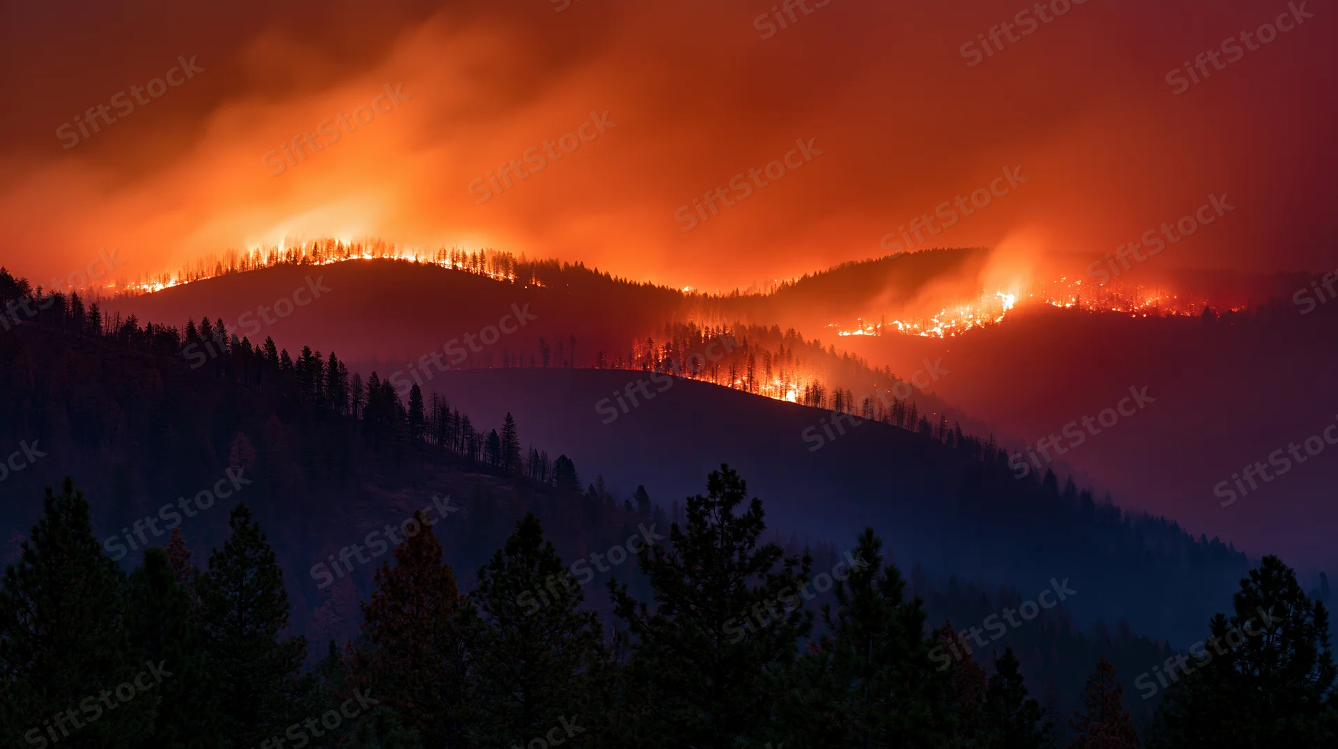 Wildfire burning across forested hills at night
