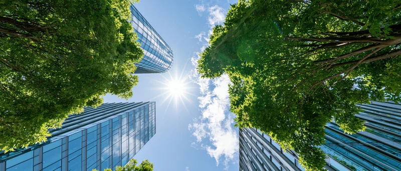 Low-angle view between glass office buildings and trees under bright sun in urban setting