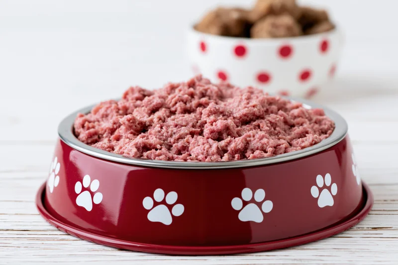 Dark red metal pet bowl with white paw prints filled with raw ground meat on wooden surface, another bowl with kibble in background