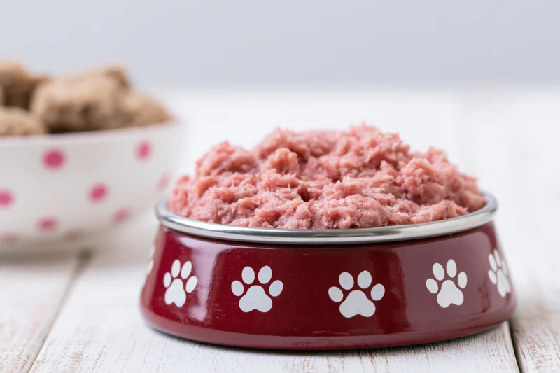 Wet dog food in a red metal bowl with white paw prints on a wooden surface