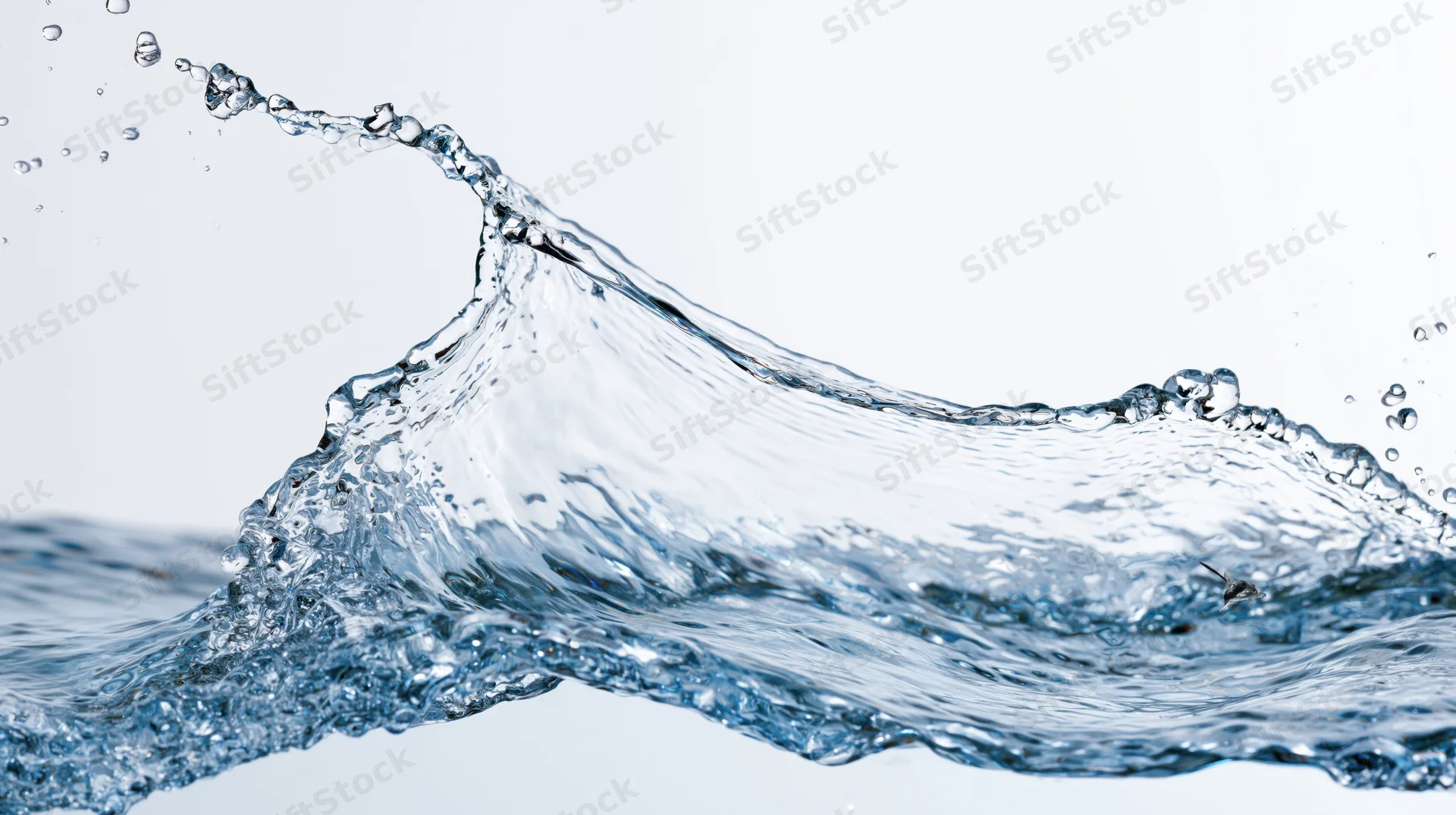 Dynamic water splash frozen mid-motion curving wave form against white background