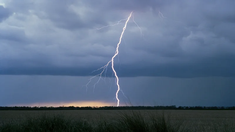 Jagged lightning bolt striking down to the treeline horizon over a grassy field at dusk