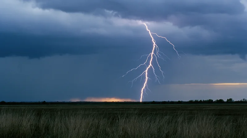 Jagged lightning bolt striking down to the treeline horizon over a grassy field