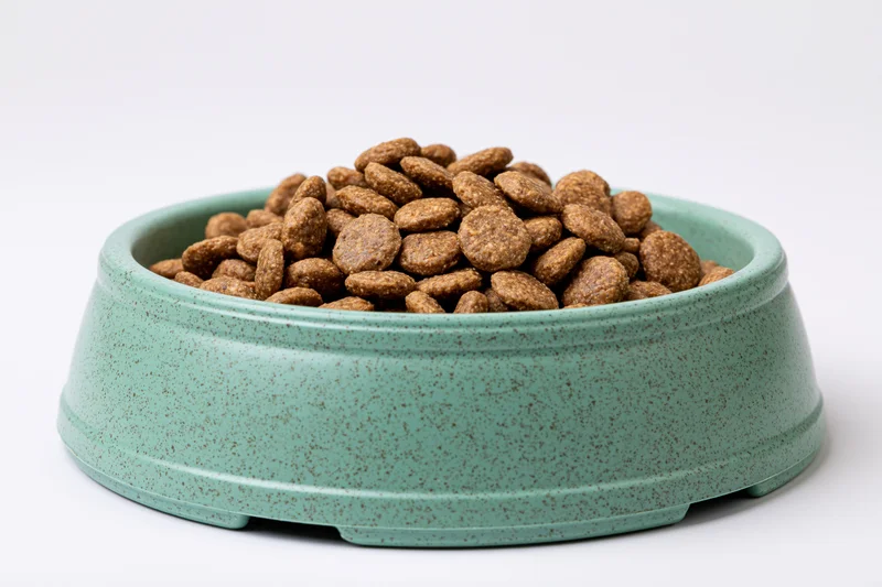 Mint green speckled pet bowl filled with dry kibble on white background