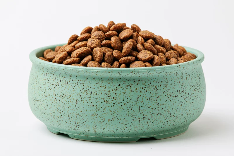 Mint green speckled ceramic pet bowl heaped with dry kibble on white background