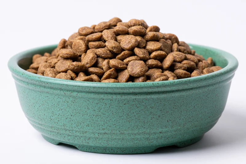 Mint green speckled ceramic bowl heaped with dry pet kibble on white background
