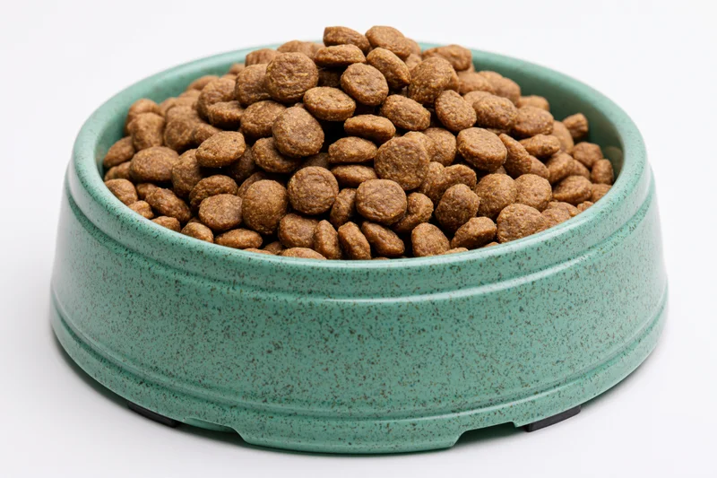 Mint green speckled pet bowl filled with dry kibble food on white background