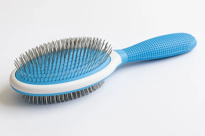 Blue pet slicker brush with textured rubber handle and metal bristles on white background