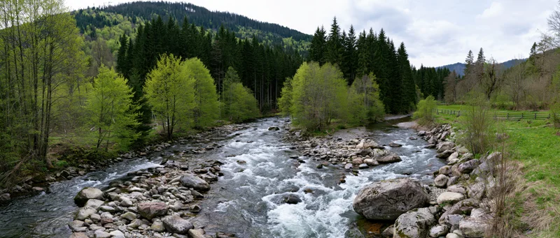 Shallow mountain river rushing over smooth rocks and boulders through forested valley