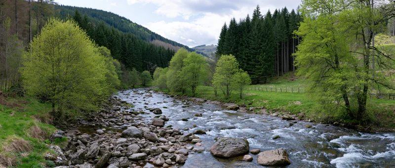 Shallow mountain river rushing over smooth rocks and boulders through a forested valley