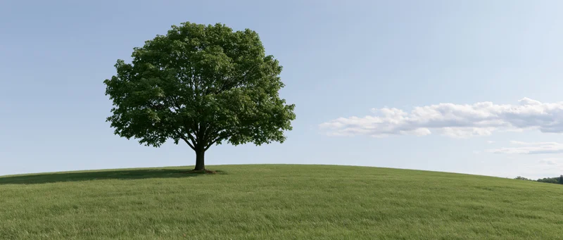 Solitary broadleaf tree standing on a grassy hill under a clear blue sky