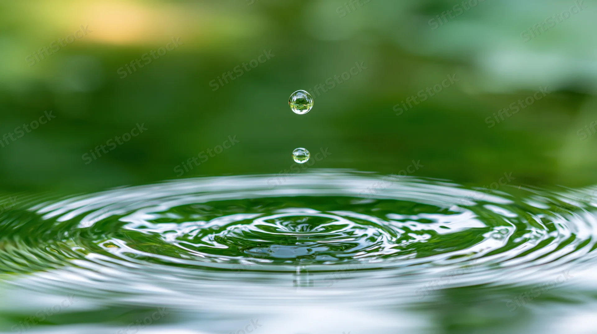 Water droplet falling onto calm pond surface creating ripples with green foliage background
