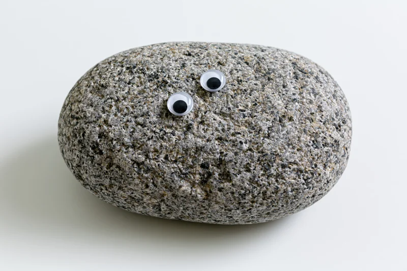 Smooth oval grey river rock with two small googly craft eyes on white background