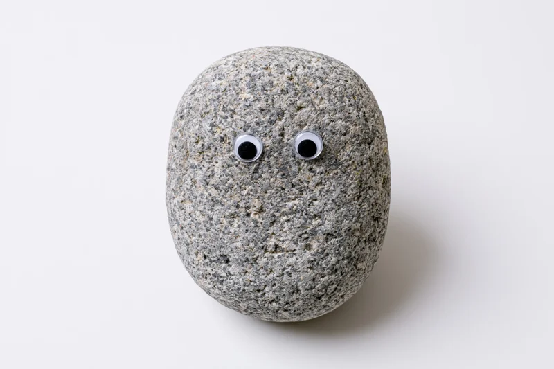 Smooth oval grey river rock with googly eyes on white background