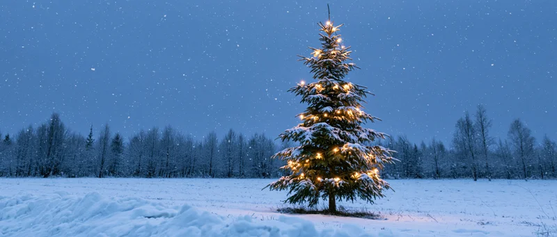 Snow-covered christmas tree with warm glowing string lights in a winter field at twilight