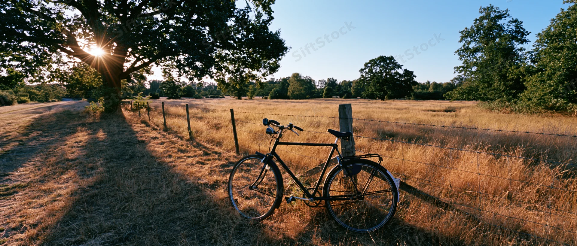 Vintage black bicycle leaning against wooden fence post in a sunlit rural field at sunrise