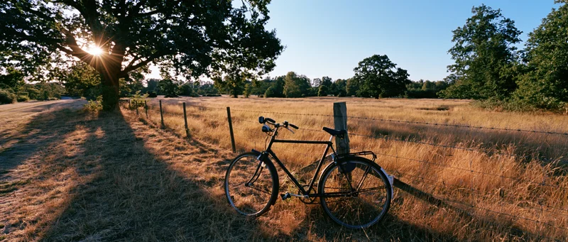 Vintage black bicycle leaning against wooden fence post in a sunlit rural field at sunrise