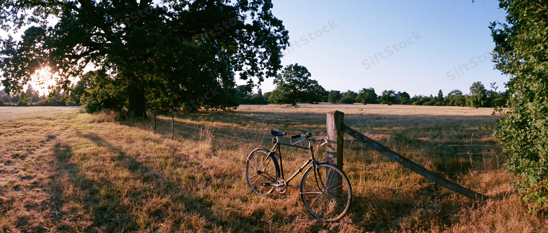 Vintage black bicycle leaning against wooden fence post in a sunlit rural field at golden hour