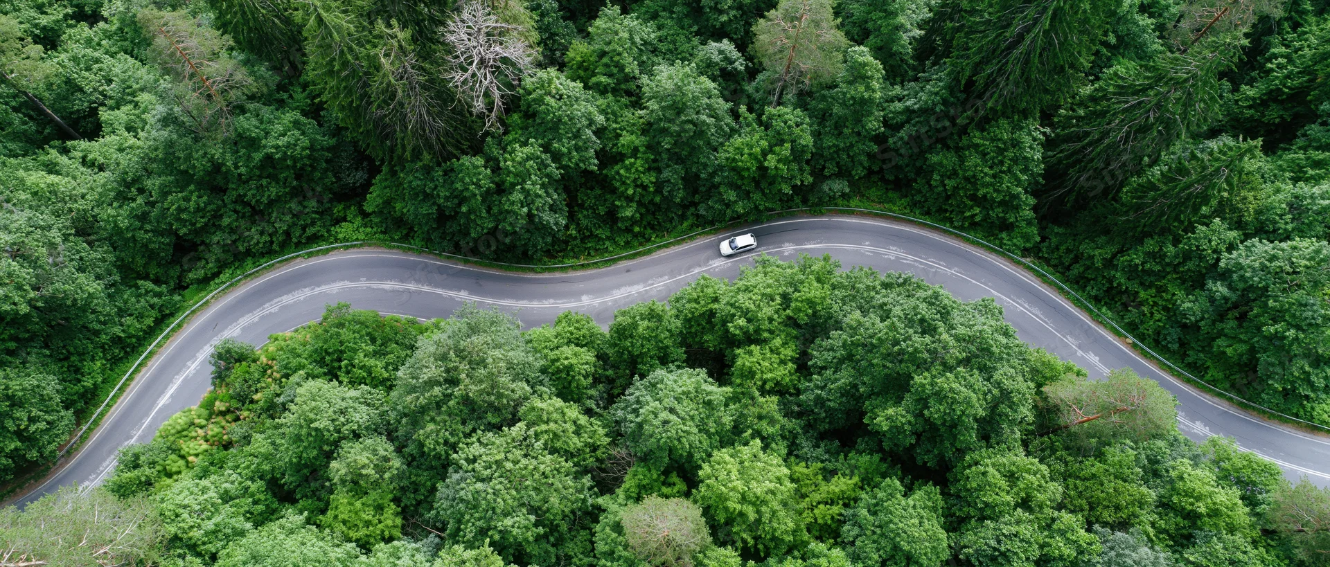 Aerial view of a winding road through dense green forest with a white car driving along it