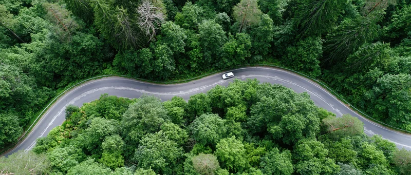 Aerial view of a winding road through dense green forest with a white car driving along it
