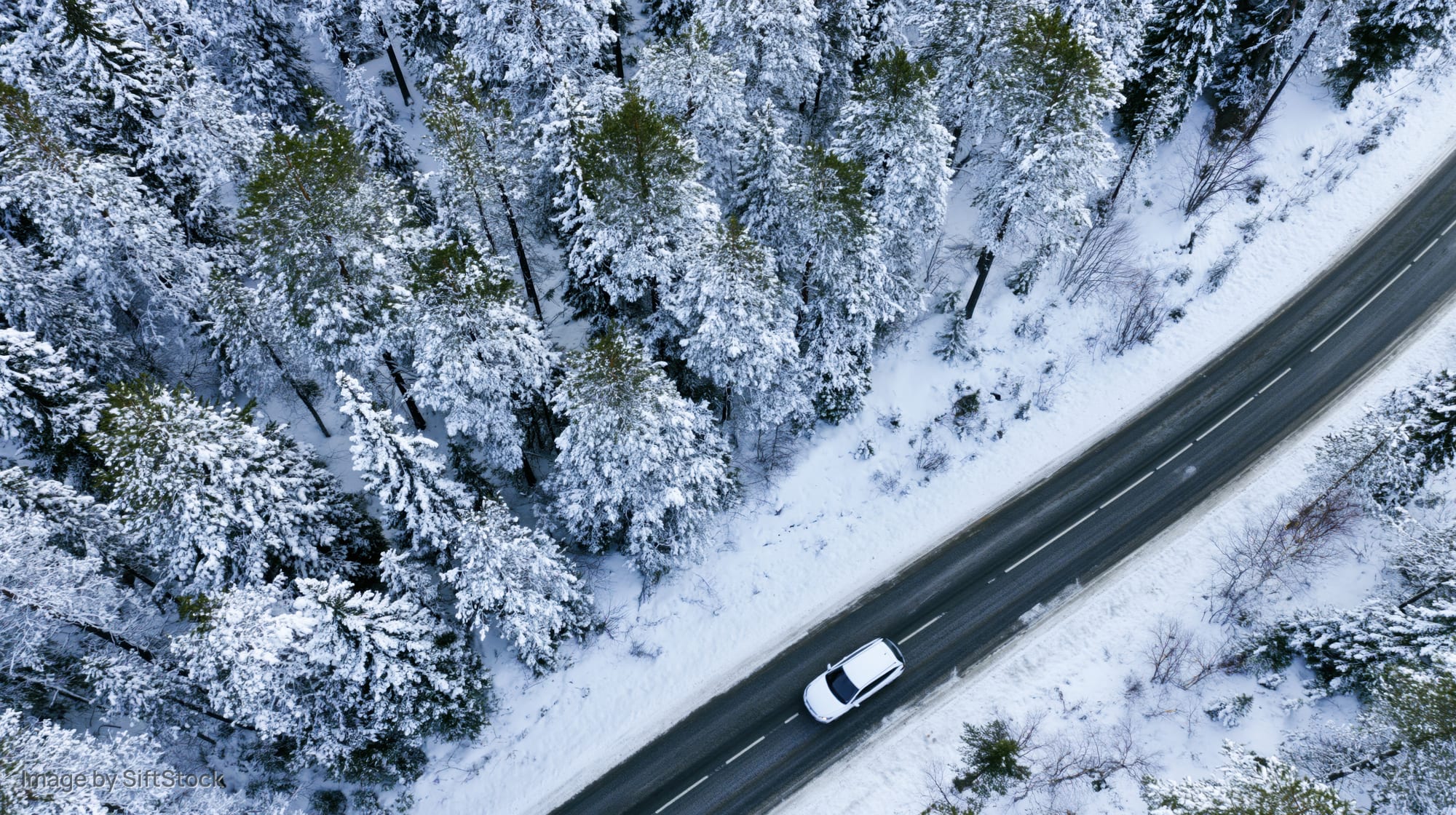 White car driving on a snowy road through a snow-covered forest from an aerial view