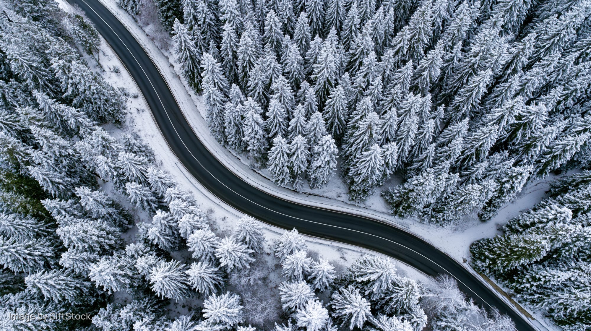 Winding road cutting through snow-covered pine forest from aerial view