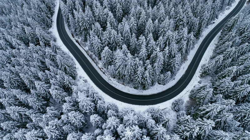 Winding road cutting through snow-covered pine forest from aerial view