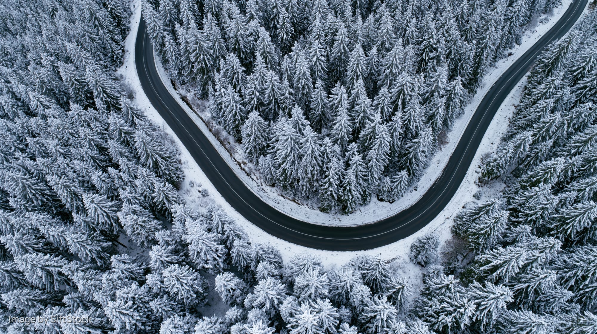 Winding road cutting through snow-covered pine forest from aerial view